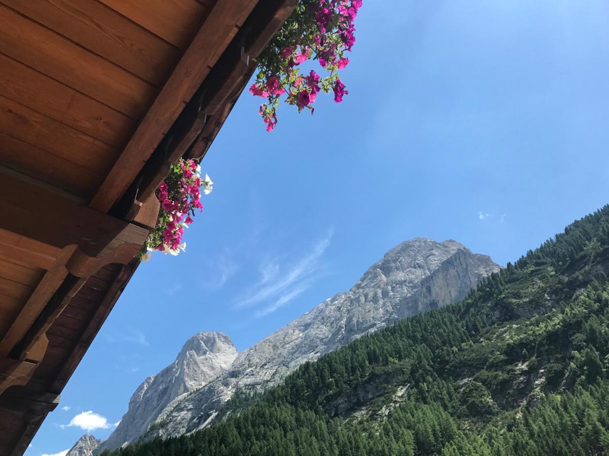 Cesa Mandi E Miky Lägenhet Canazei Exteriör bild